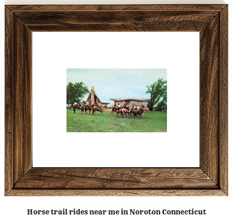 horse trail rides near me in Noroton, Connecticut